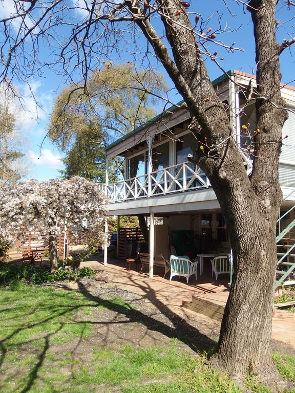 Glenella Guesthouse Blackheath Exterior photo